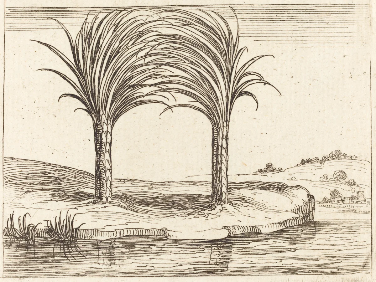 Two Palm Trees by Jacques Callot, print, 1592-1635