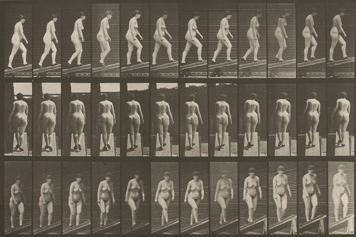 Plate Number 86. Ascending an incline by Eadweard Muybridge, photograph, 1887