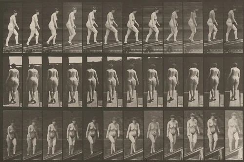 Plate Number 86. Ascending an incline by Eadweard Muybridge, photograph, 1887