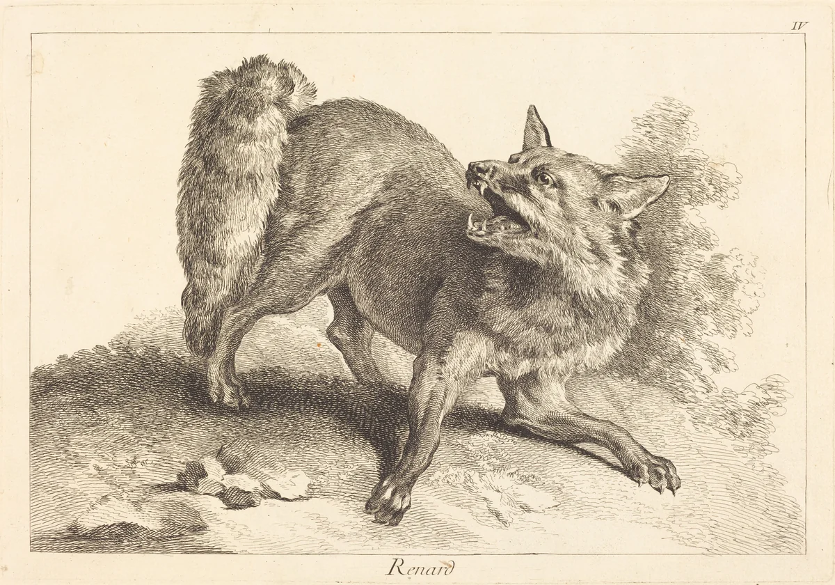 Renard (Fox) by Jean Eric Rehn; Jacques-Philippe Le Bas; Jean-Baptiste Oudry, print, 1707-1783