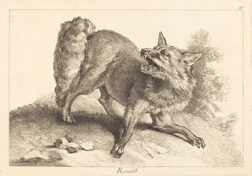 Renard (Fox) by Jean Eric Rehn; Jacques-Philippe Le Bas; Jean-Baptiste Oudry, print, 1707-1783