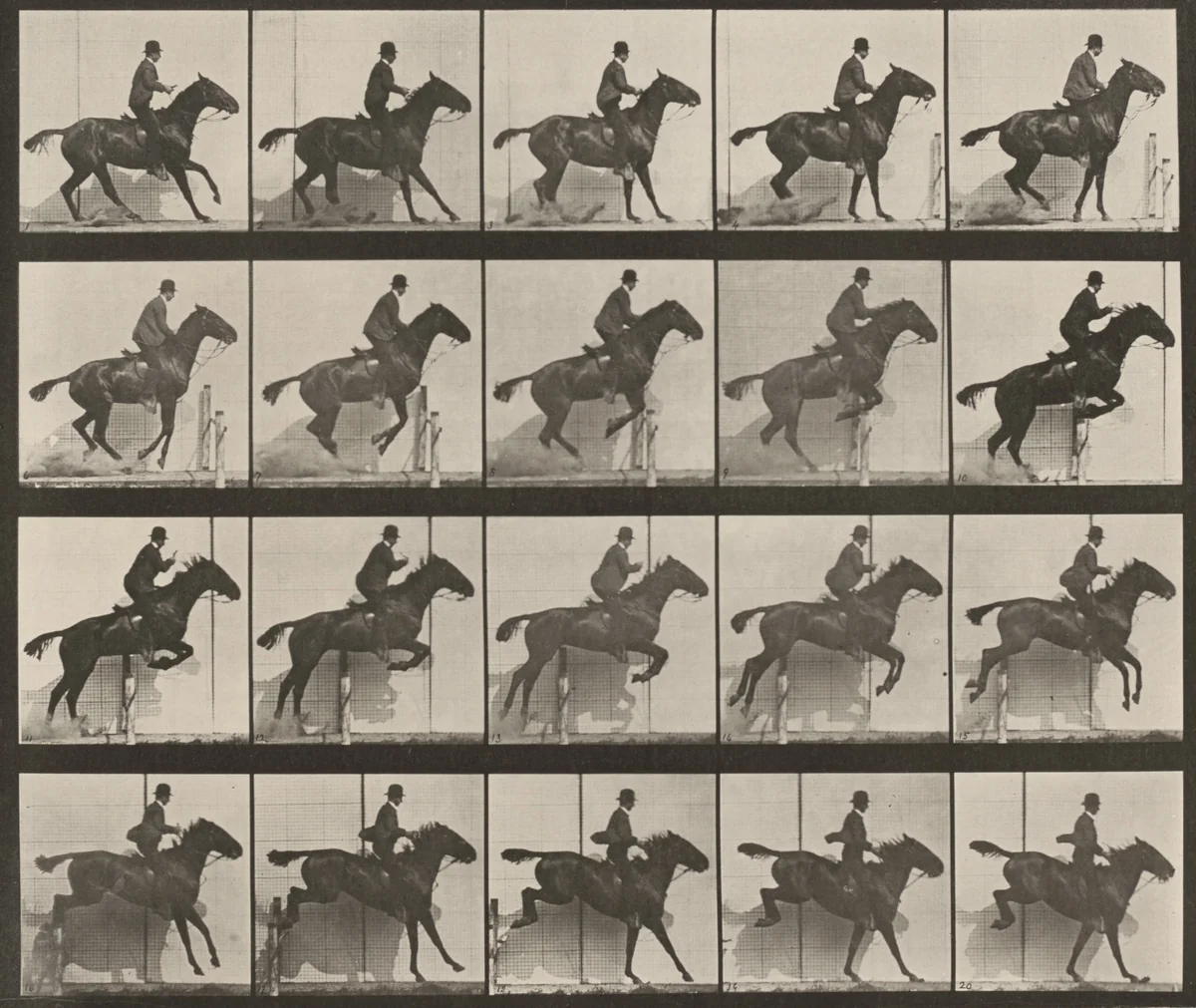Plate Number 638. "Daisy" jumping a hurdle, saddled by Eadweard Muybridge, photograph, 1887