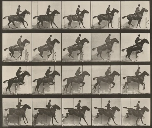 Plate Number 638. "Daisy" jumping a hurdle, saddled by Eadweard Muybridge, photograph, 1887