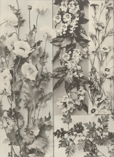 Page from Festons und Dekorative Gruppen by Unidentified Photographer, photograph, 1893