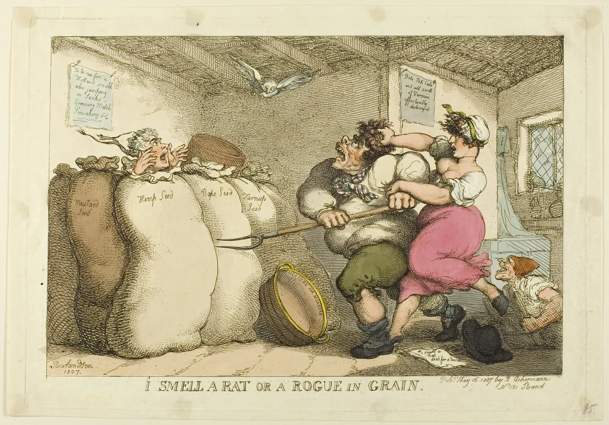 I Smell a Rat or a Rogue in Grain by Thomas Rowlandson, print, 1807