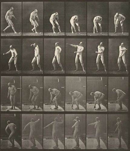 Plate Number 302. Picking up a ball and throwing it by Eadweard Muybridge, photograph, 1887