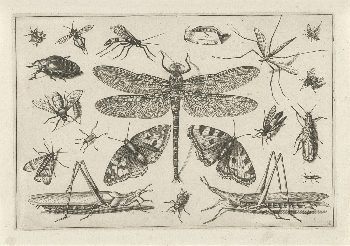Insects by Jacob Hoefnagel, print, 1630