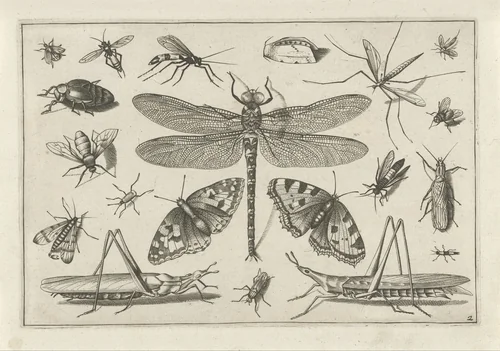 Insects by Jacob Hoefnagel, print, 1630