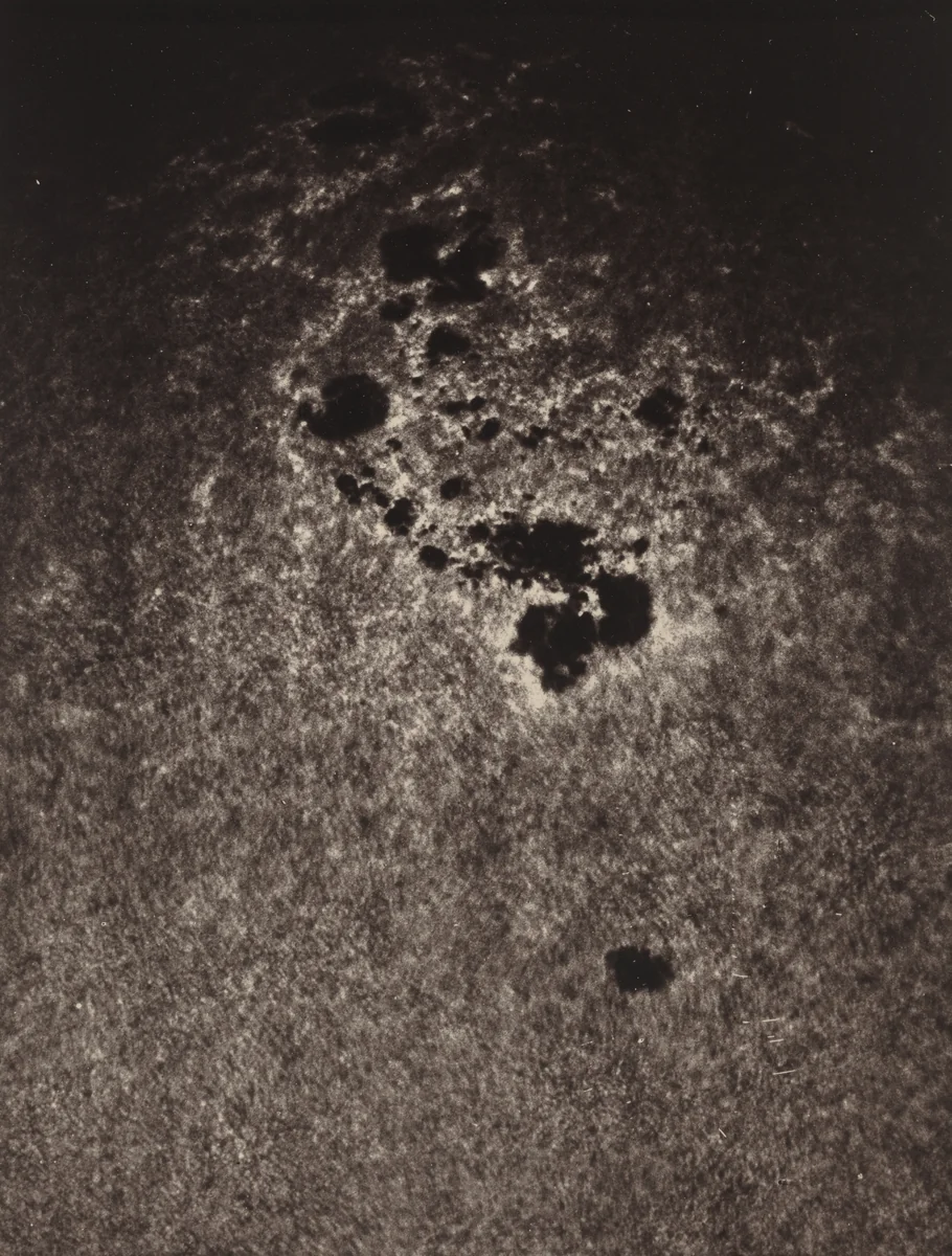 Untitled (Study of the Sun's Surface) by Jules Cesar Janssen, photograph, 1893