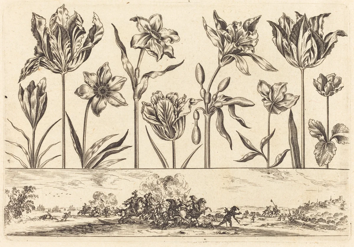 Flower Print no.2 by Nicolas Cochin, print, 1645