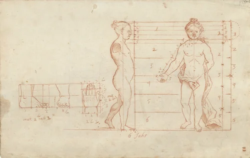 Proportiestudie van een meisje van zes jaar by anonymous, drawing, 1700-1800
