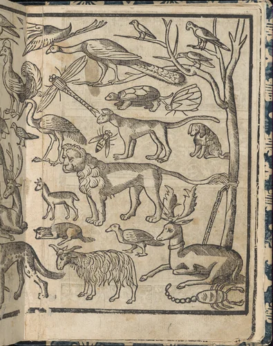 Essempio di recammi, page 13 (recto) by Giovanni Antonio Tagliente, book, 1530