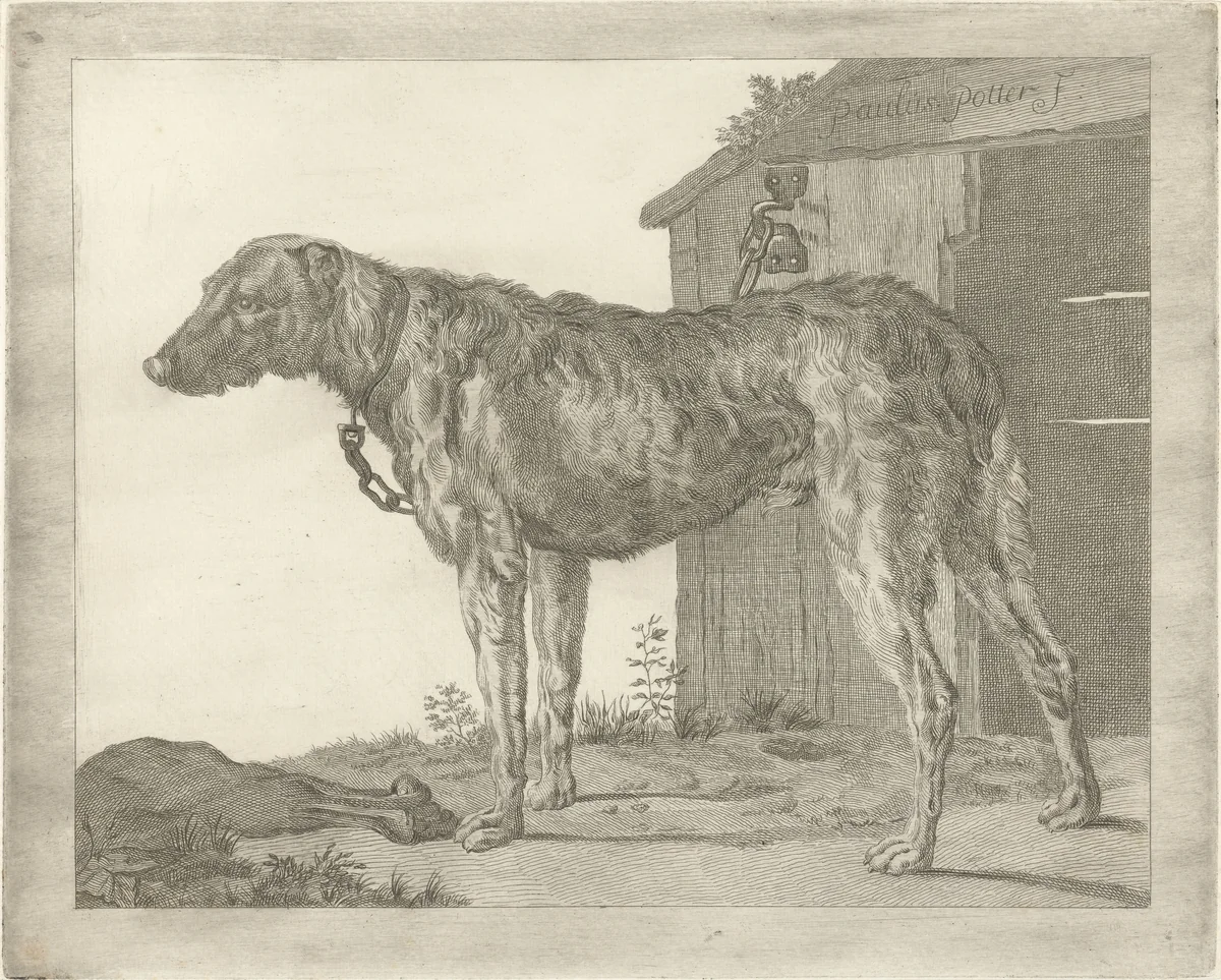 Hond by Pieter de Mare, print, 1768-1796