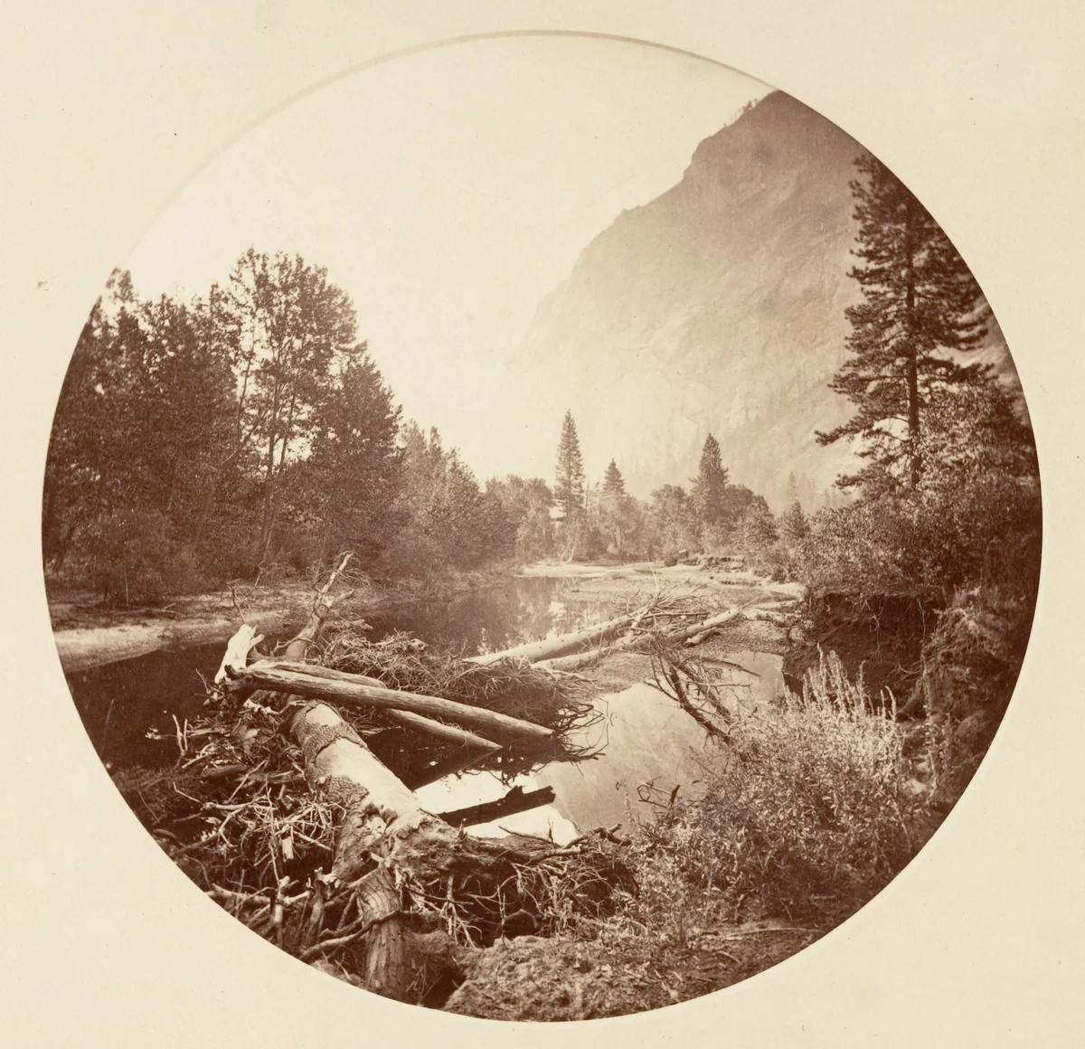 [Yosemite National Park, California] by Carleton E. Watkins, photograph, 1876-1880