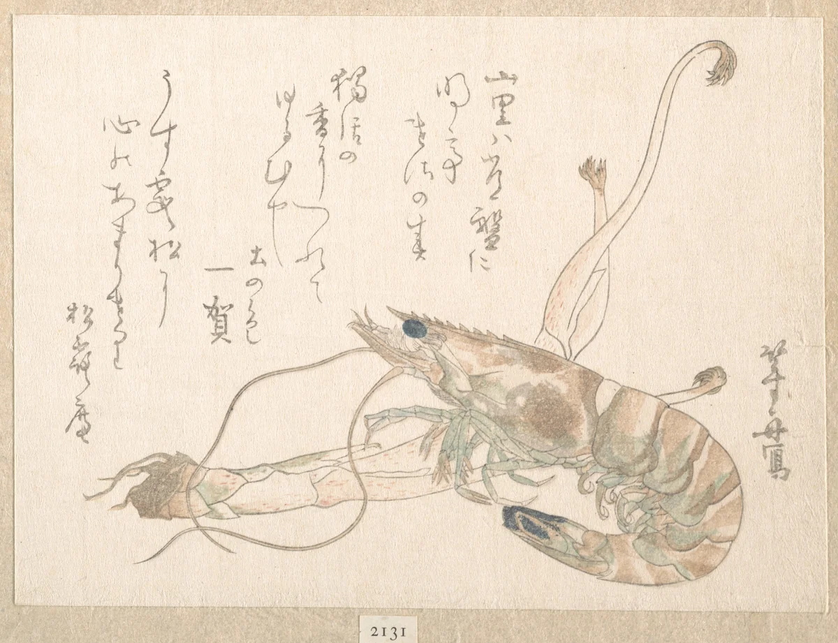 Shrimp and Udo Plant by Uematsu Tōshū, print, 1615-1868