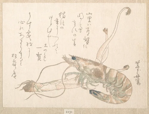 Shrimp and Udo Plant by Uematsu Tōshū, print, 1615-1868