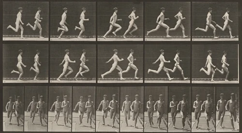 Plate Number 69. Two men running by Eadweard Muybridge, photograph, 1887