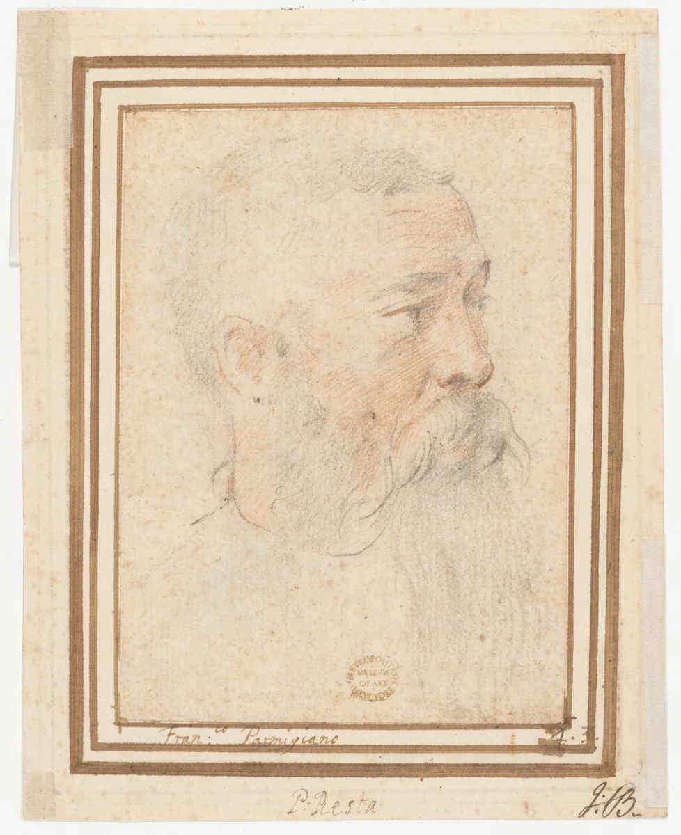 Head of Bearded Man (recto); Head of a Girl (verso) by Girolamo Mazzola Bedoli, drawing, 1503-1540