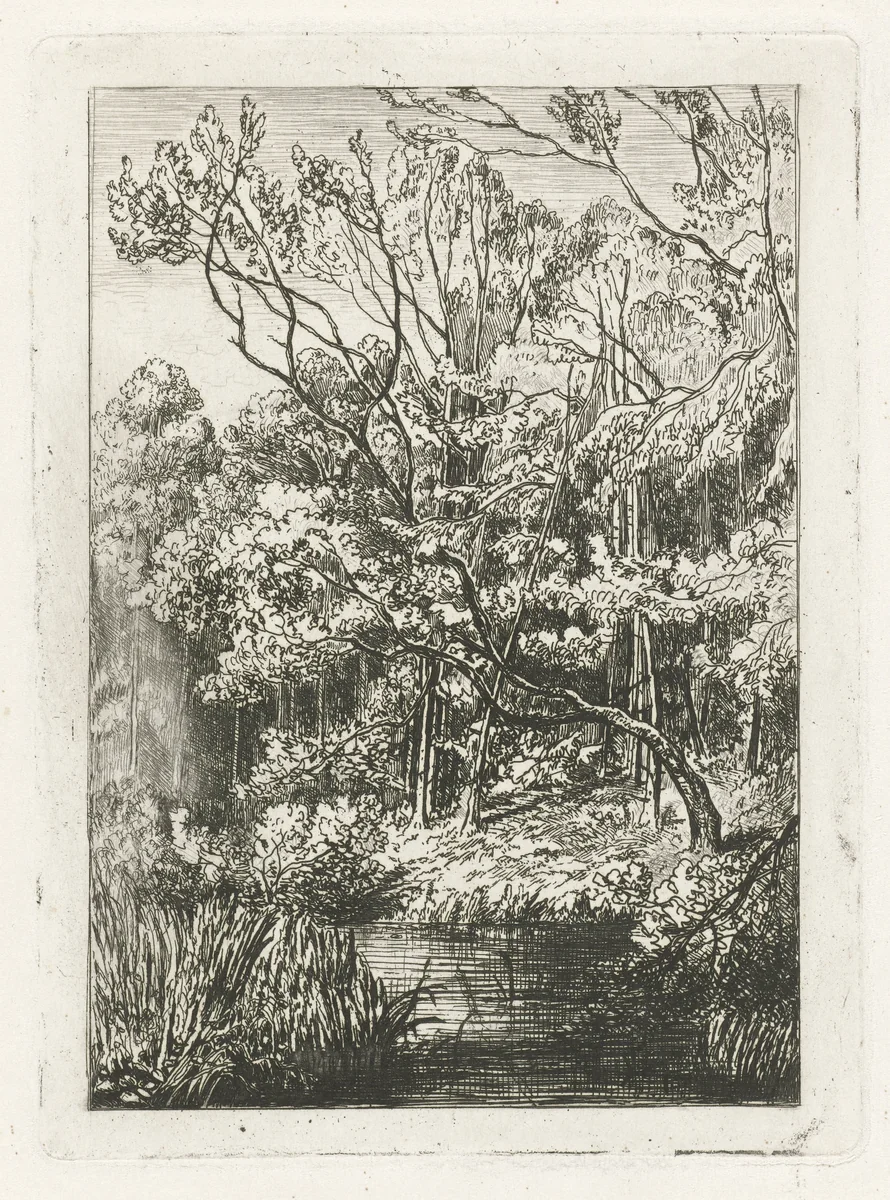 Bosgezicht by Joseph Hartogensis, print, 1855