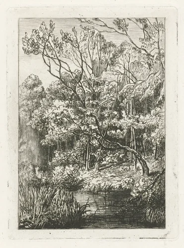 Bosgezicht by Joseph Hartogensis, print, 1855