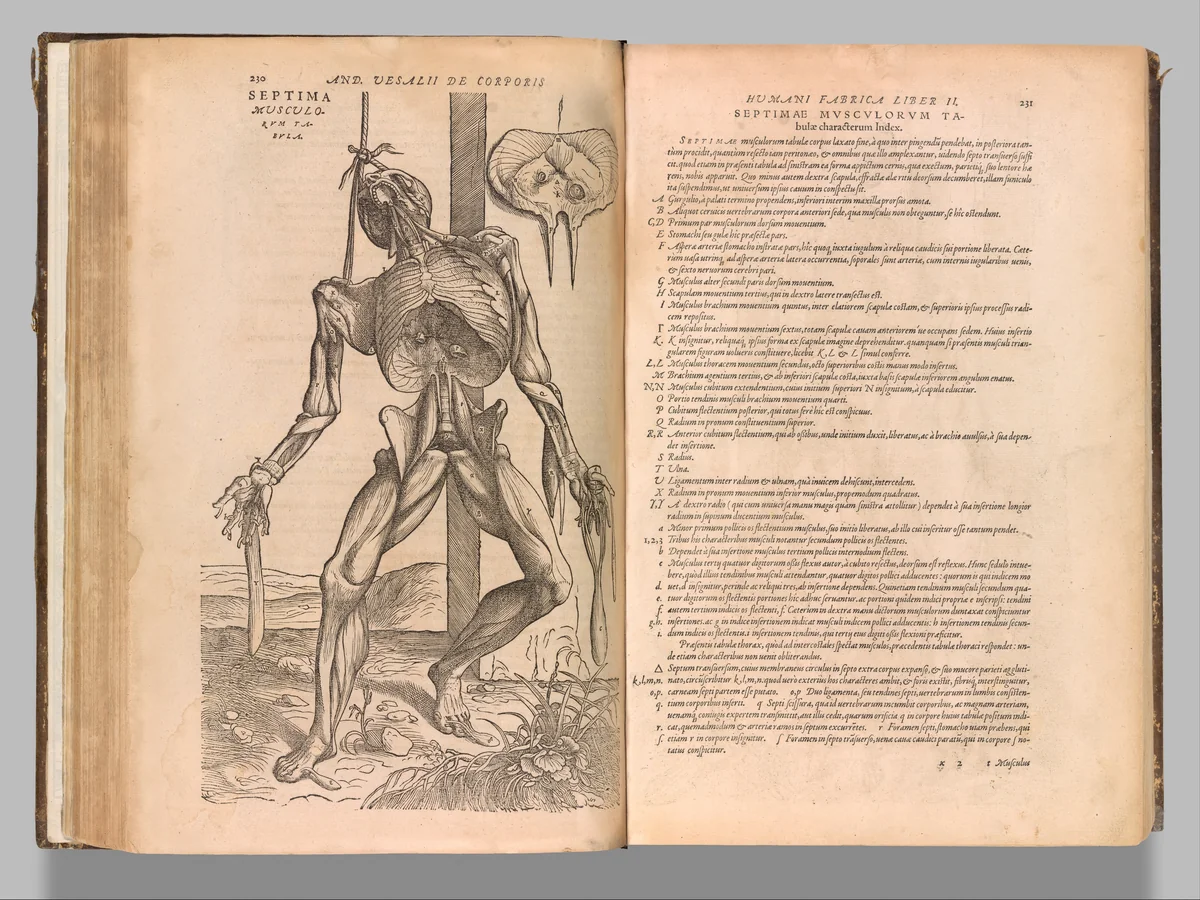 De humani corporis fabrica (Of the Structure of the Human Body) by Andreas Vesalius, book, 1555
