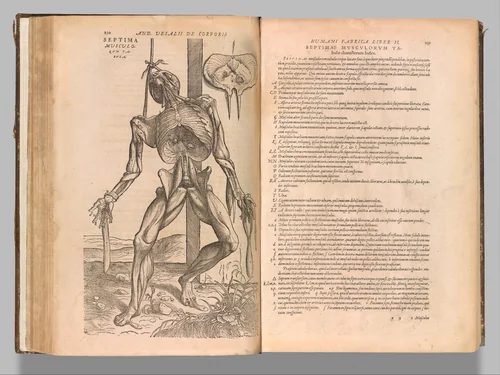 De humani corporis fabrica (Of the Structure of the Human Body) by Andreas Vesalius, book, 1555