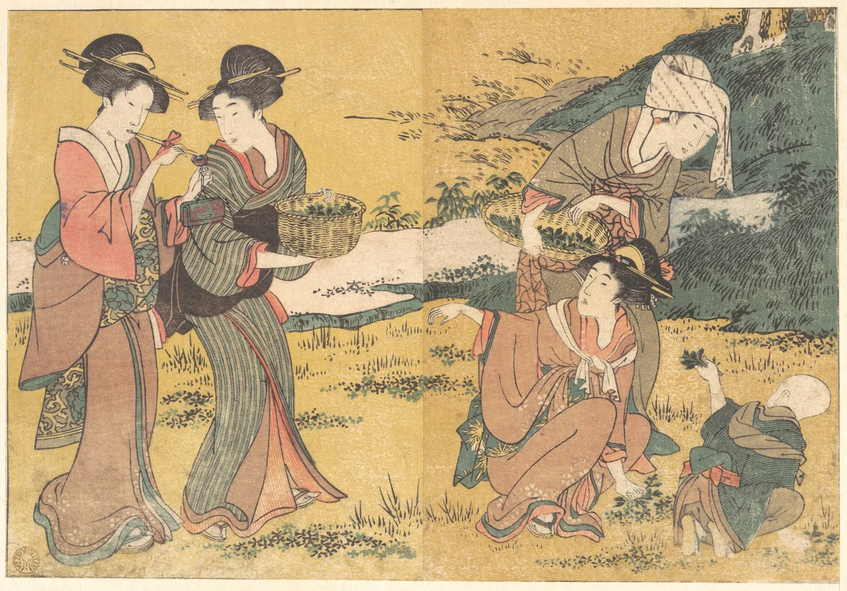 Girls Picking Green Leaves, from the illustrated book Flowers of the Four Seasons by Kitagawa Utamaro (喜多川歌麿), print, 1801