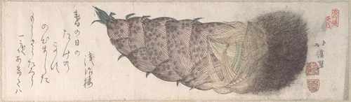 Young Shoot of Bamboo by Totoya Hokkei (魚屋北渓), print, 1800-1899