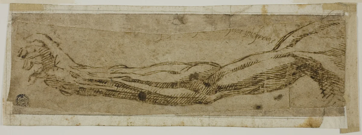 Academic Arm, Extended by Michelangelo Buonarroti, drawing, 1500-1510