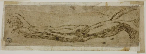 Academic Arm, Extended by Michelangelo Buonarroti, drawing, 1500-1510
