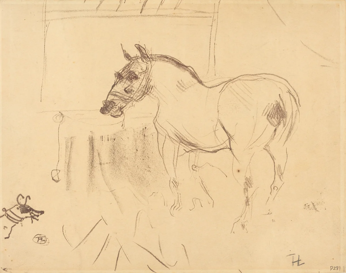 The Small Pony from Calmese (Le petit poney de Calmèse) by Henri de Toulouse-Lautrec, print, 1899