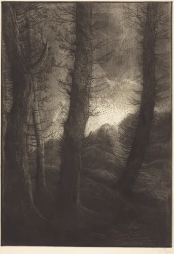 Large Trees Seen against the Sun (Les grandes arbres: Effet du soir) by Alphonse Legros, print, 1837-1911