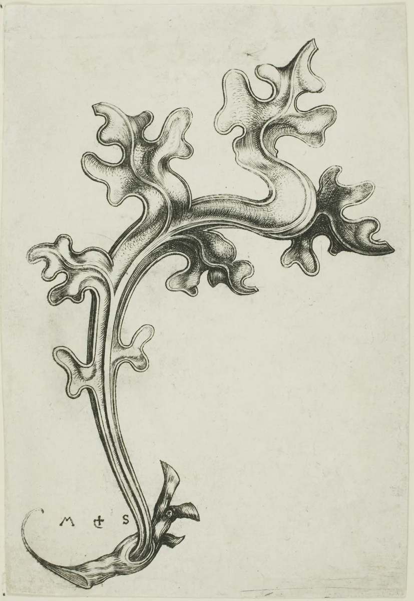 Leaf Ornament by Martin Schongauer, print, 1450-1491