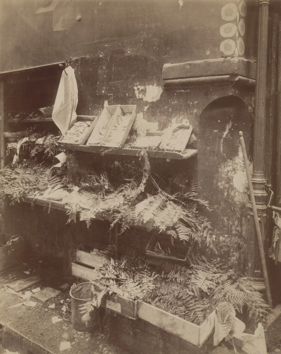 Boutique poissons by Eugène Atget, photograph, 1910