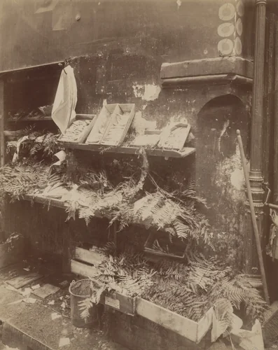 Boutique poissons by Eugène Atget, photograph, 1910