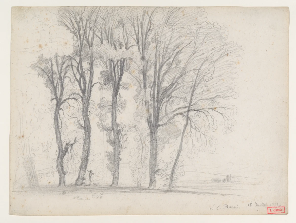 A Stand of Trees by Louis Cabat, drawing, 1837
