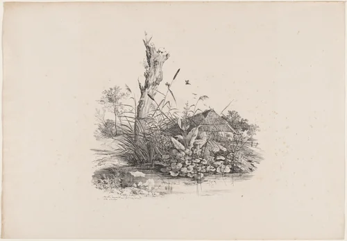 Withered Tree by a Pond by Carl August Lebschée; Johannes M. von Hermann, portfolio, 1829