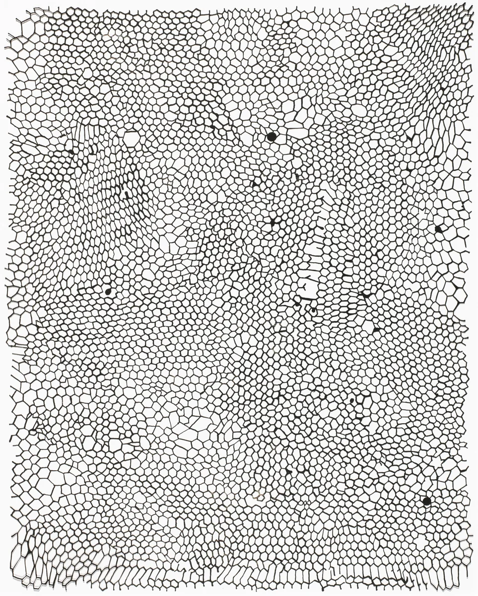 Untitled by Rachel Whiteread, portfolio, 2002