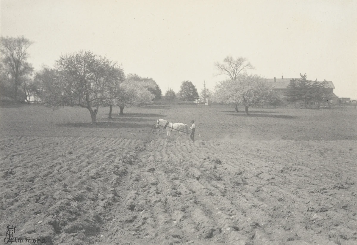 Untitled by Chansonetta Stanley Emmons, photograph, 1910