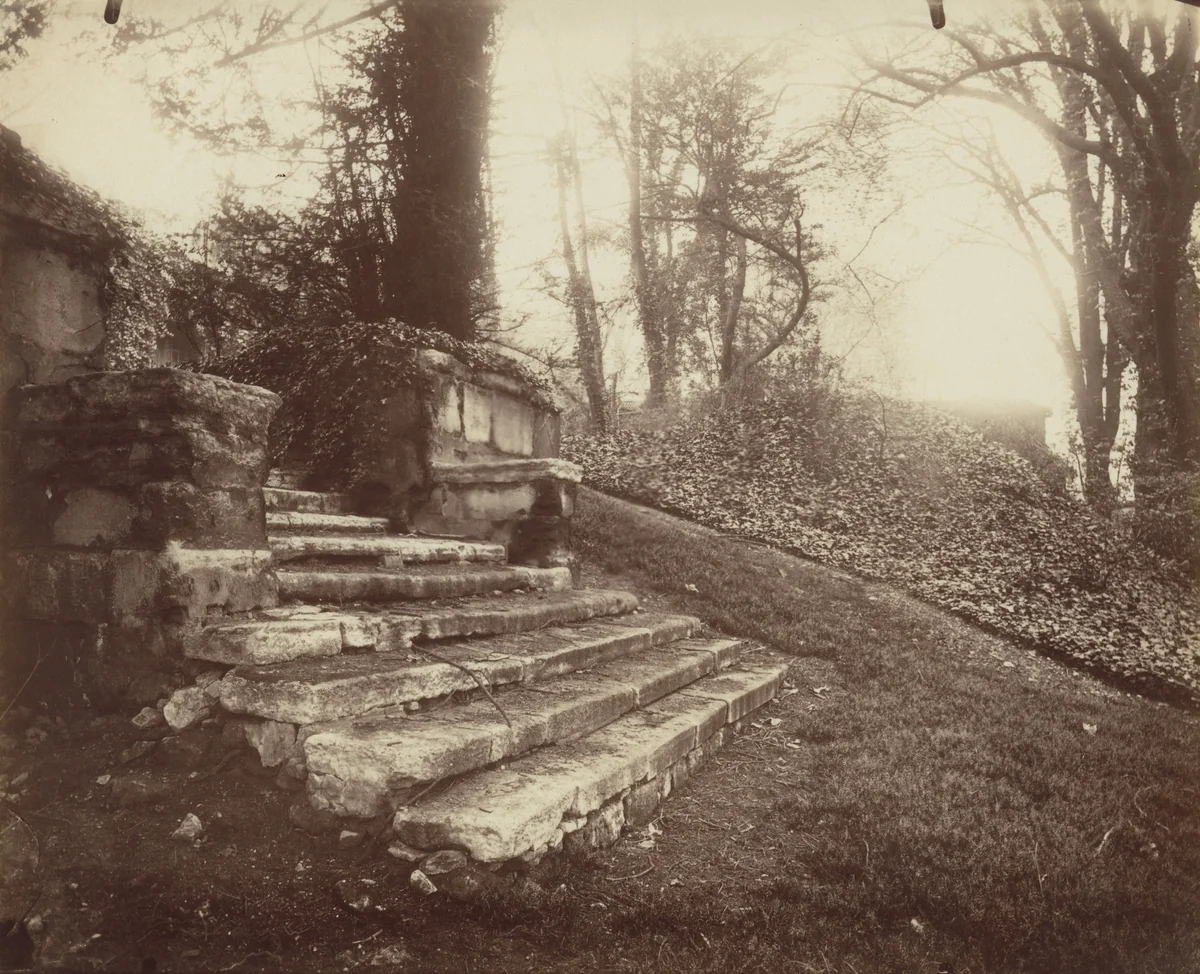 Parc Delessert by Eugène Atget, photograph, 1914