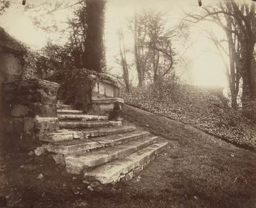 Parc Delessert by Eugène Atget, photograph, 1914
