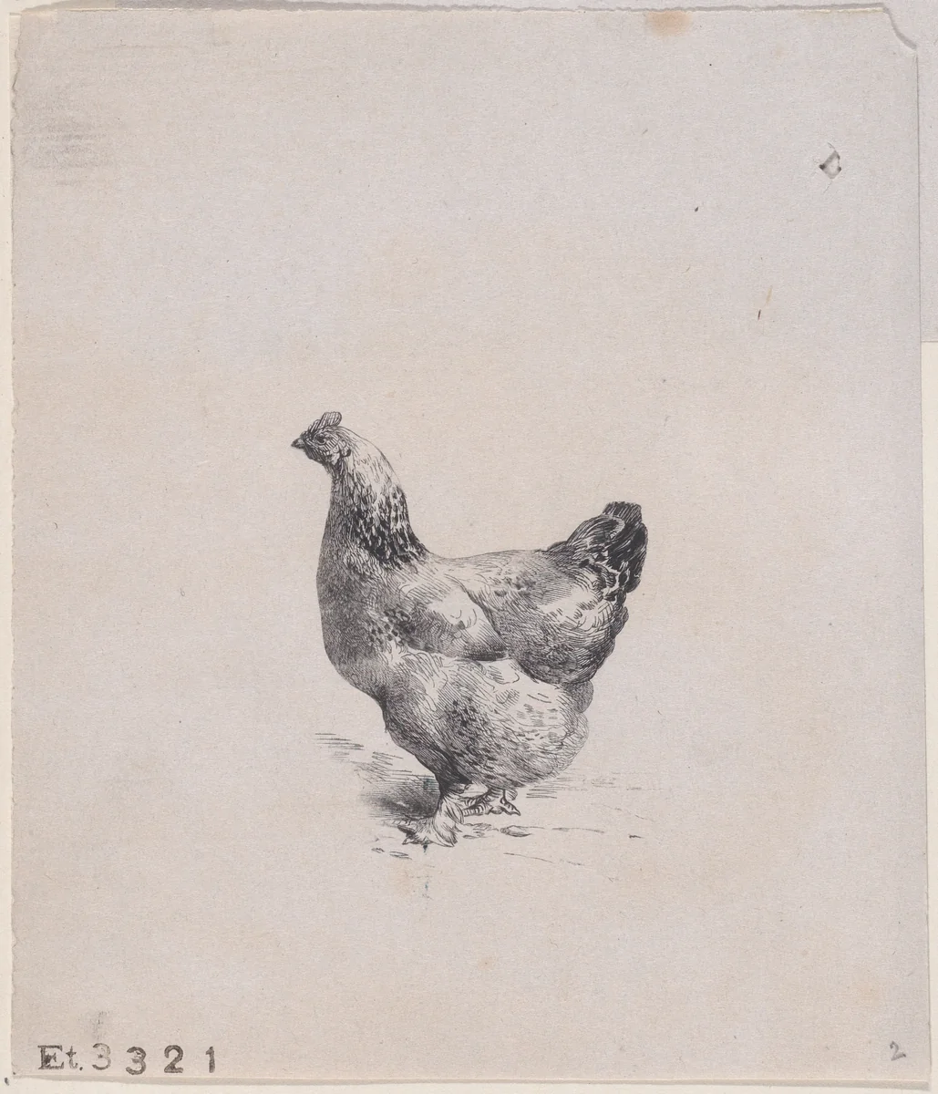 From The Henhouse by Charles Jacque, print, 1858