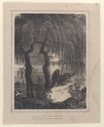 Napoleon's tomb with a hidden silhouette by Francois-Charles Oberthür, print, 1838-1893