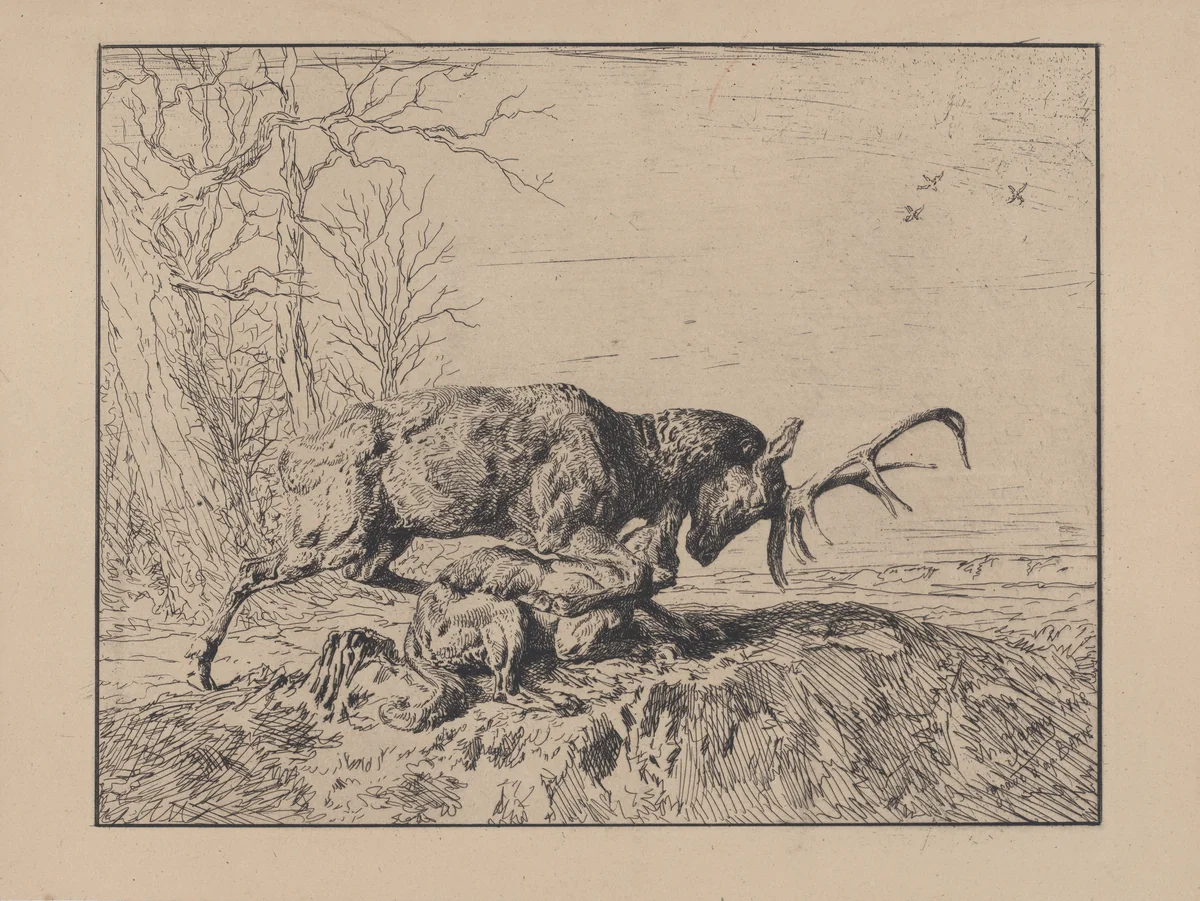 Stag Fighting a Wolf, after Antoine Louis Barye by Charles Jacque, print, 1846
