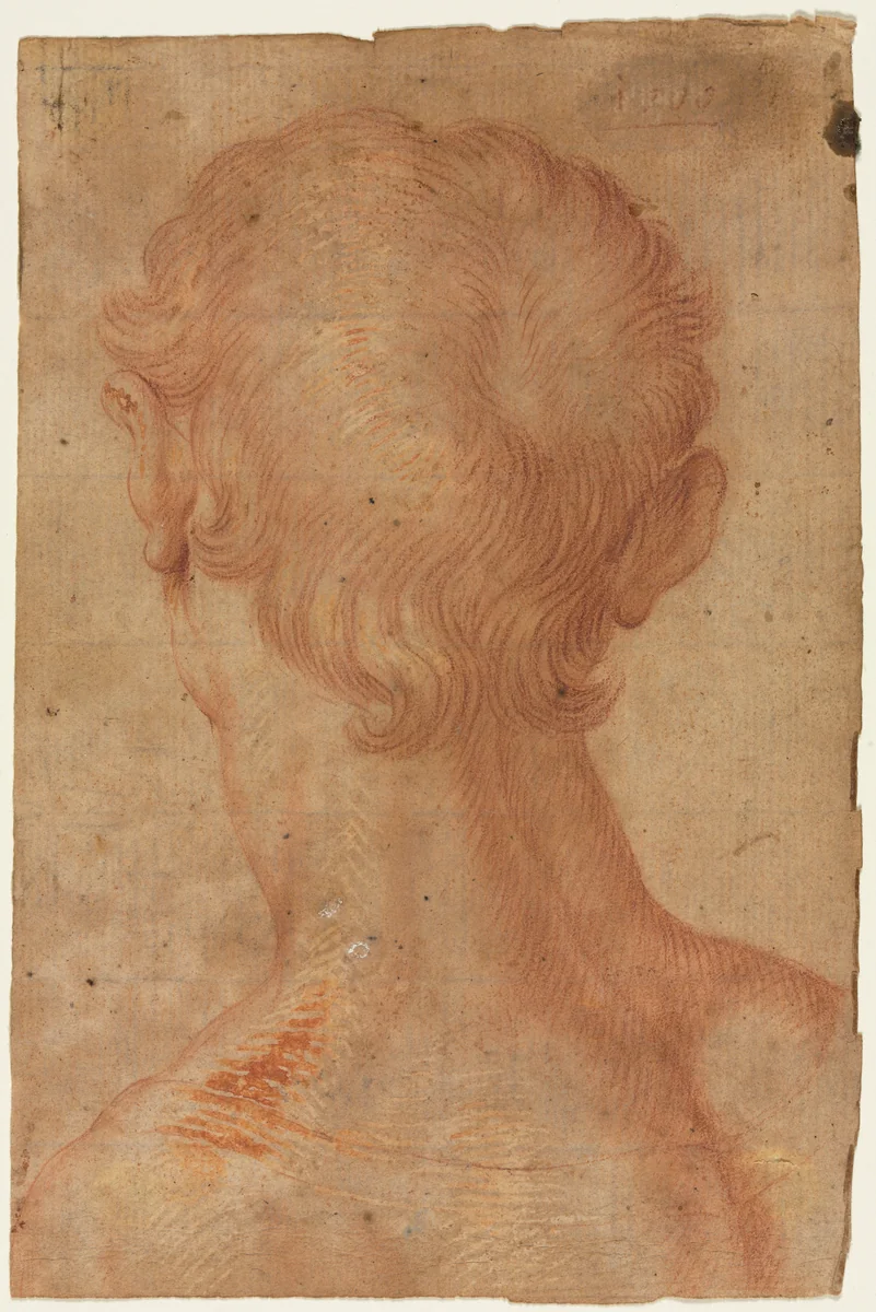Man's Head from the Back by Agnolo Bronzino, drawing, 1500-1599