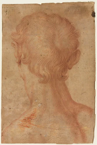 Man's Head from the Back by Agnolo Bronzino, drawing, 1500-1599