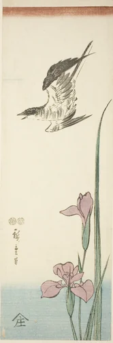 Cuckoo and iris by Utagawa Hiroshige (歌川広重), print, 1842-1857