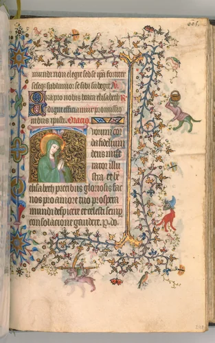 Hours of Charles the Noble, King of Navarre (1361-1425): fol. 297r, St. Elizabeth by Master of the Brussels Initials and Associates, book, 1400-1410
