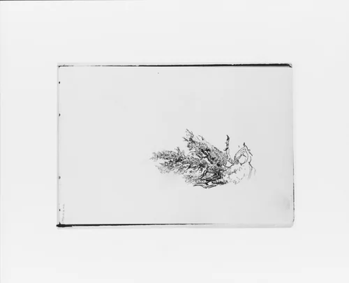 Nature Study (from Sketchbook X) by William Trost Richards, artwork, 1885