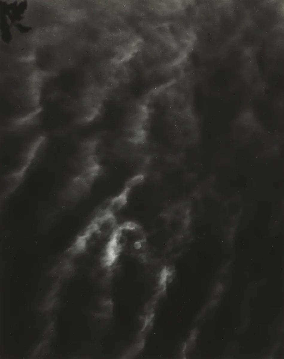 Equivalent, Set C2 No. 3 by Alfred Stieglitz, photograph, 1929